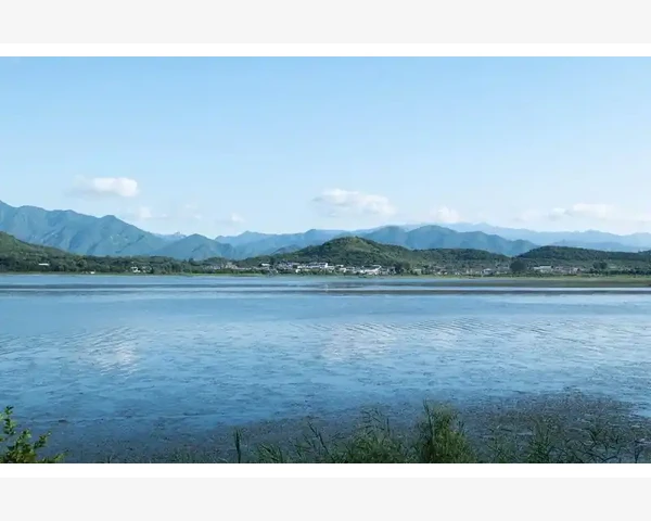 大腿痛跟脾胃有关吗？中医解密健康密码